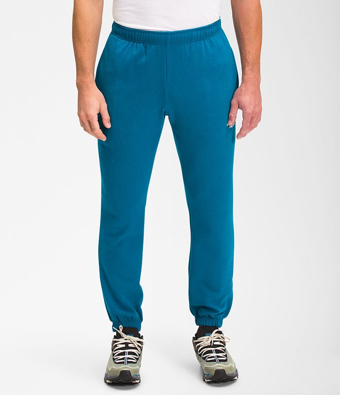 The North Face Mens Pants Box NSE Jogger 760VMREQK - Blue